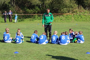 mk体育官网-中国篮球运动员在双语环境中的表达能力培养机制，篮球运动员文化水平